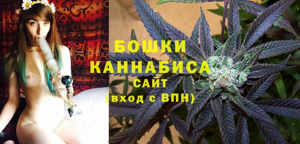 индика Верхнеуральск