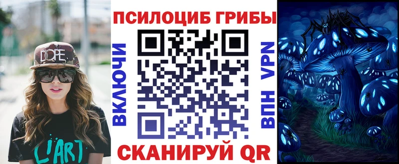 Купить закладки  Урус-Мартан  Галлюциногенные грибы Cubensis 